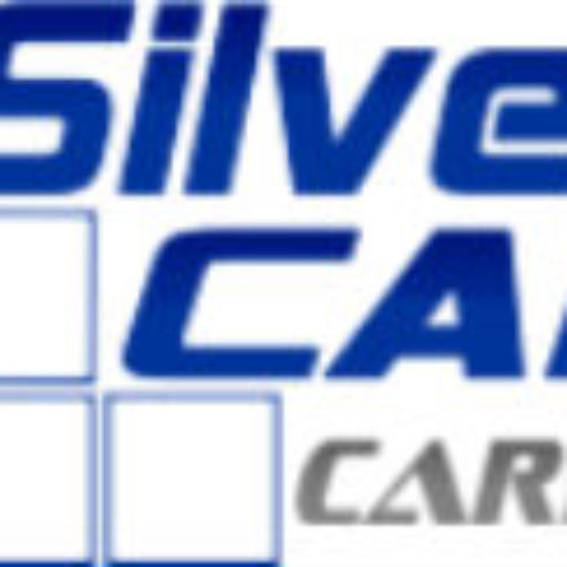 (c) Silvercargo.com.br